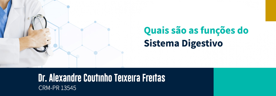 Conheça as funções vitais do Sistema Digestório